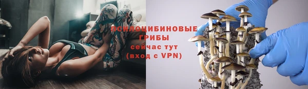 прущая мука Волоколамск